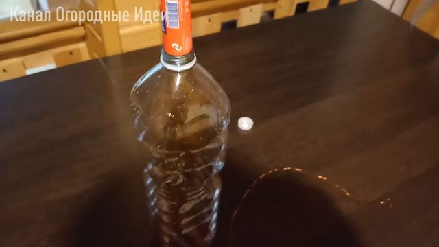 Чистота и уют: чистая гармония