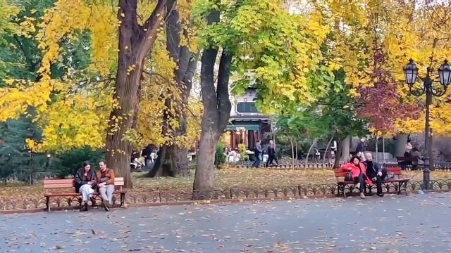 Мы... | Октябрь, 2021г. | Одесса #Видео_письмо #стихи смотреть онлайн