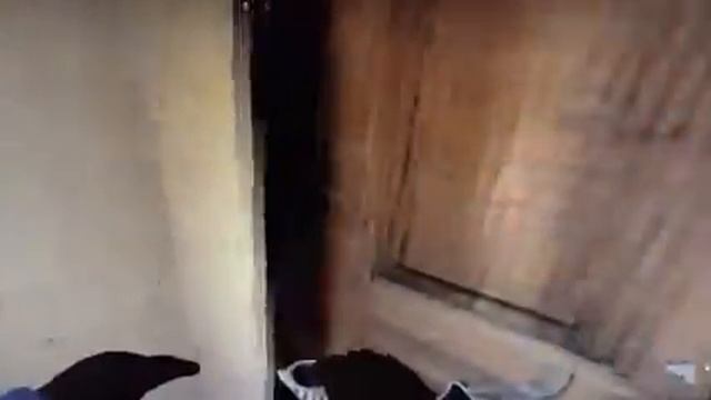 Видео про миф рычание собаки в контрстрайк смотреть онлайн