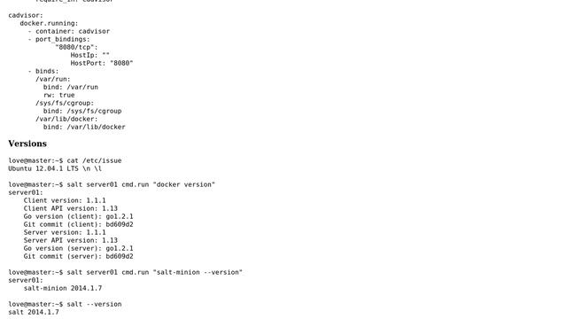 DevOps & SysAdmins: Salt-cloud docker state, handle volumes (2 Solutions!!) смотреть онлайн
