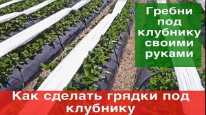 Как сделать грядки под клубнику (гребни под клубнику)