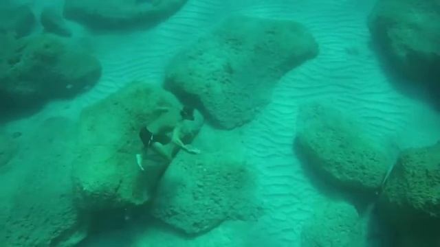 Girls. Diving. Free Diving. Party And FUN