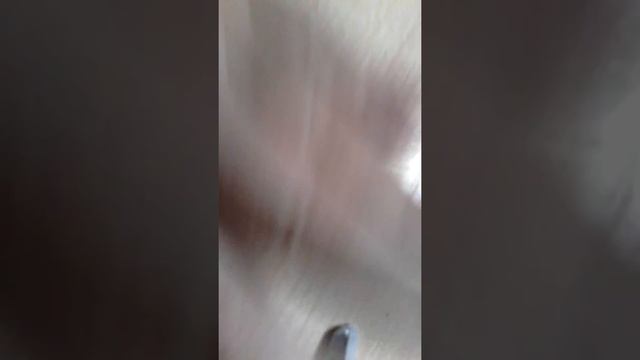 Как сделать отличные шпоры прямо в школе?! смотреть онлайн