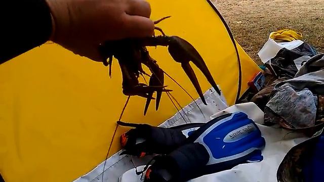 Р.Харабалык-наловил крупных раков ,за 30 минут 4кг. смотреть онлайн