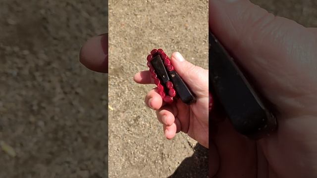 Карельская береза