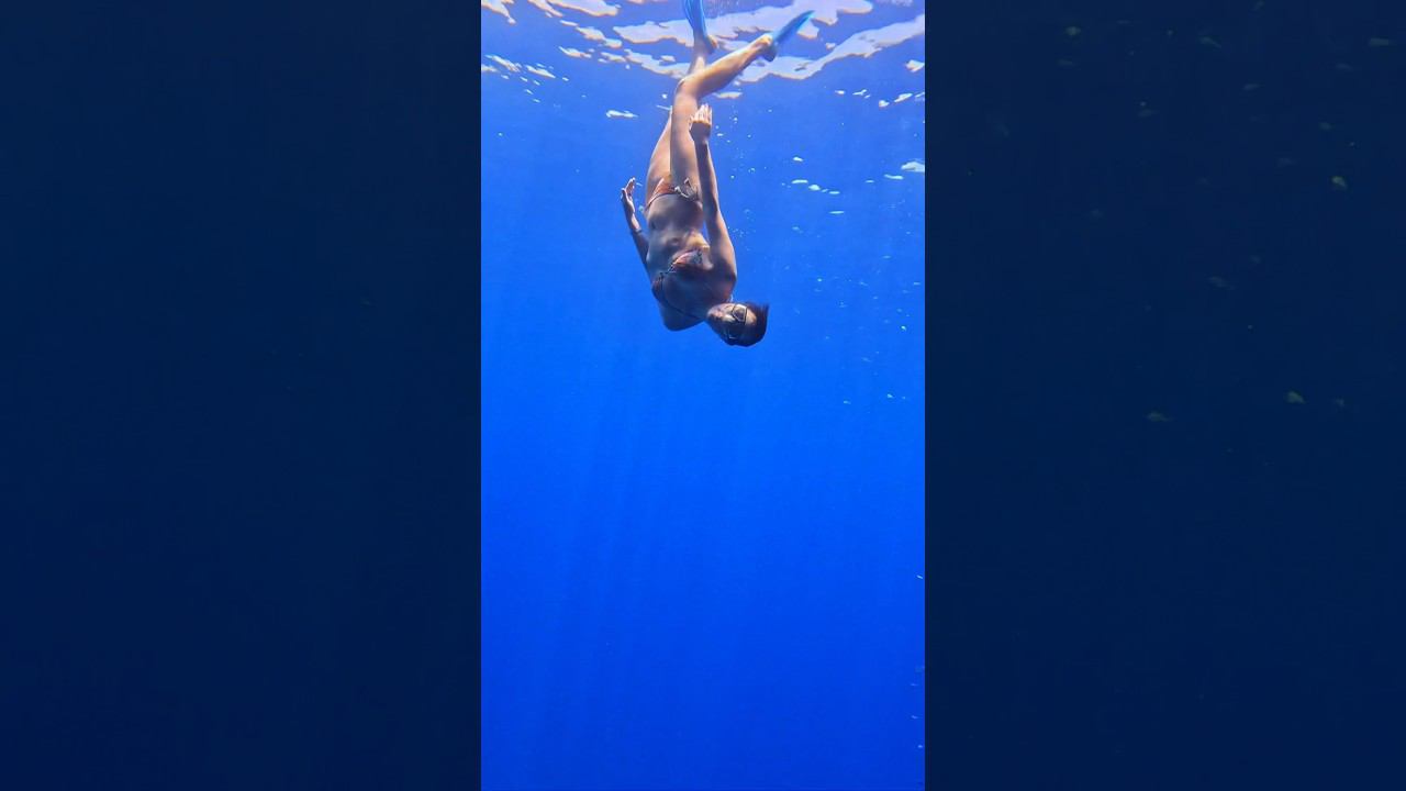 Ныряем в подводную пещеру #фридайвинг #freediving #cave #apnea #underwater #gopro #diving смотреть онлайн