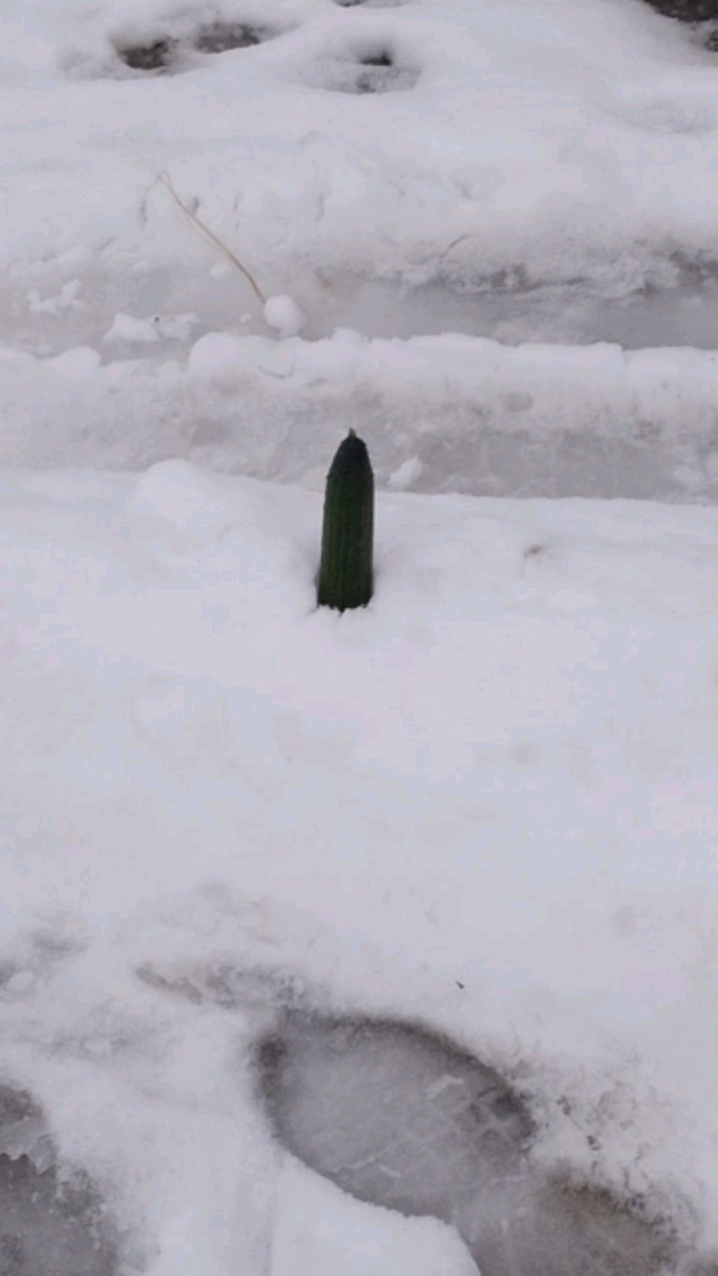 стендофф2 закладка ПВП и многое другое