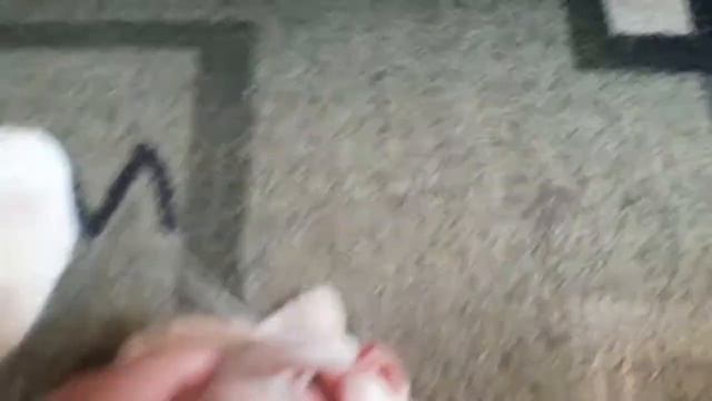 Кот крепко спит смотреть онлайн