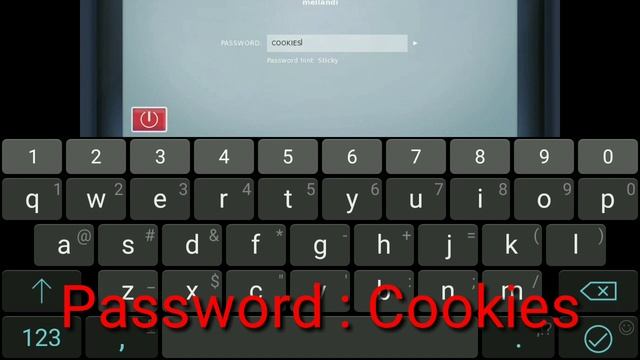 Summertime Saga - Computer Password Main Character [MC]