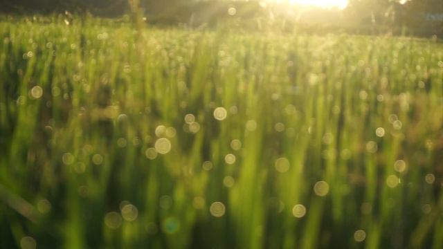 New Piano Music 2021 - Piano Moment #32 - Randomness - Piano Improvisation смотреть онлайн