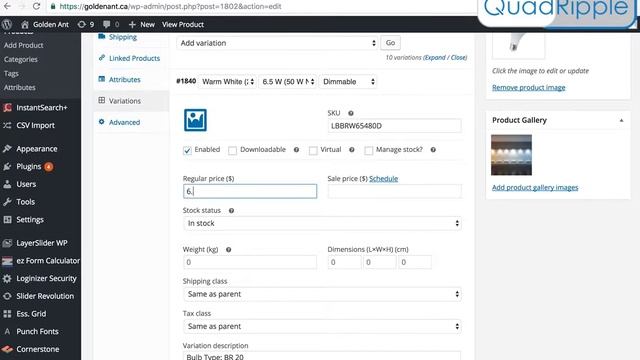 WooCommerce: How to edit prices and stock quantity for products on Wordpress смотреть онлайн