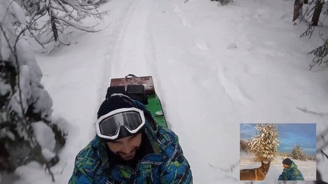 #мотобуксировщик по лесу проеду или застрянет 40 см глубина снега , Сани чуть двинул вперёд смотреть онлайн