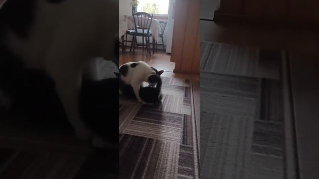 попу мыть нужно каждый день смотреть онлайн