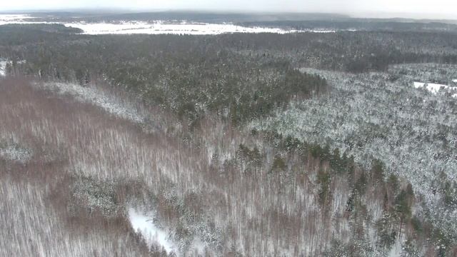 БОЛЬШИЕ СЕЛИЩИ - Деревня в Тверской области | ТВЕРСКАЯ ОБЛАСТЬ смотреть онлайн