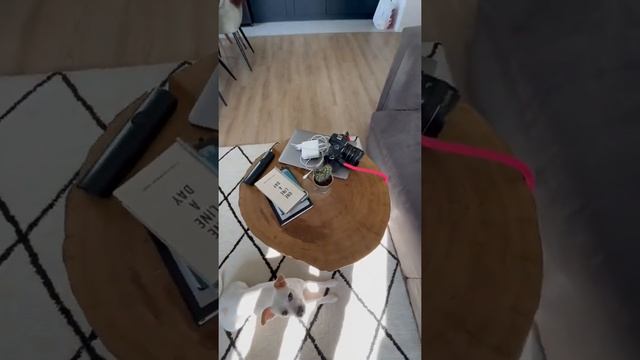 Кофейный столик из спила дуба смотреть онлайн