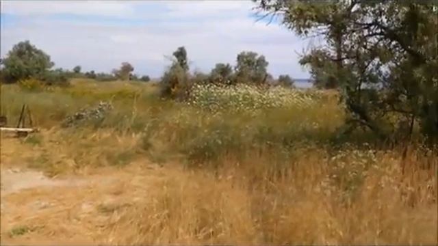 Кинбурнская коса лагерь "Два берега" 2016 смотреть онлайн