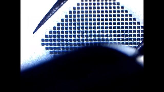 Xiaomi Mi A2. После контакта с жидкостью смотреть онлайн