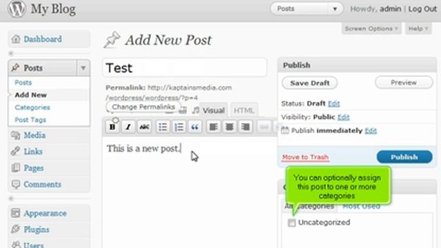 How to add a new Post in WordPress 3 смотреть онлайн