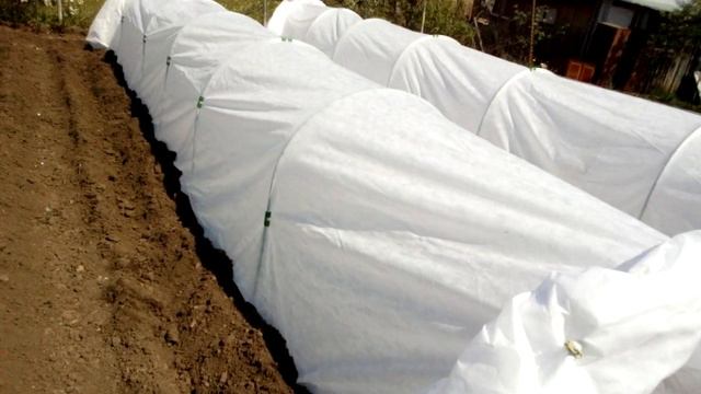 Сажаю помидоры в открытый грунт.Дача 13мая 2021г. смотреть онлайн