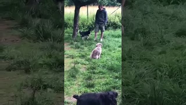 Видео,приколы,юмор,смех смотреть онлайн