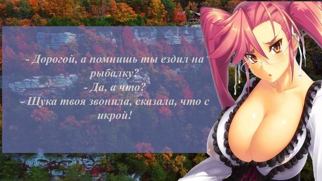 Рыбак достал червя ... Подборка смешных анекдотов смотреть онлайн