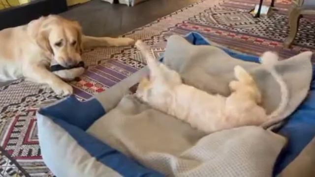 Привет из дома от Валерия смотреть онлайн