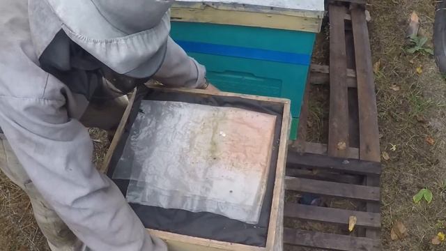 Зачем плёнка в ульях ППУ Работы на пасеке в октябре Отводки смотреть онлайн