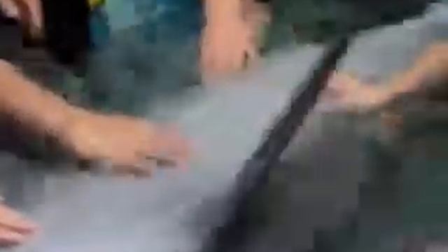 Tours-TV.com: Atlantis Aquapark смотреть онлайн