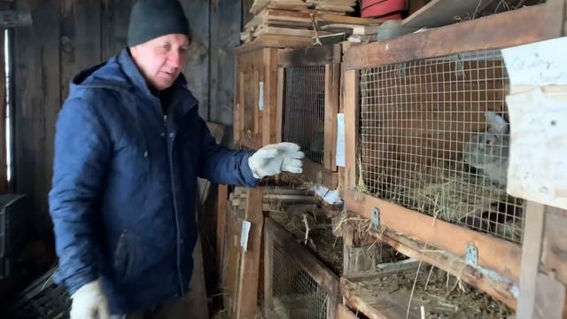 Французский яблочный пирог.Практически одна начинка//Весной пахнет//Кролики//Веселуха// смотреть онлайн