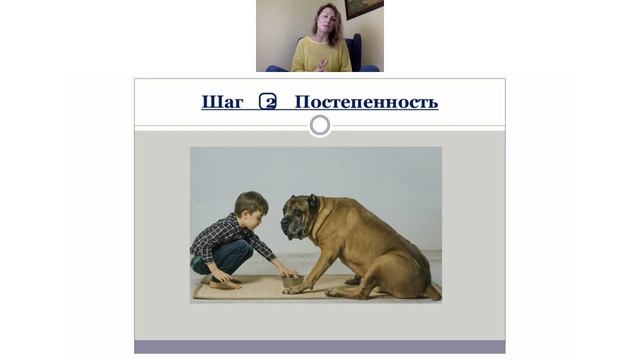 Как воспитать в ребёнке ответственность за питомца. смотреть онлайн