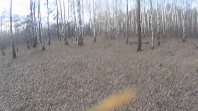 ПОКАТУШКИ#2 Влетел в дерево. Покатушки на Motoland250xr смотреть онлайн