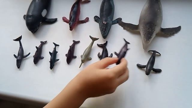 Коллекция китов!!!!