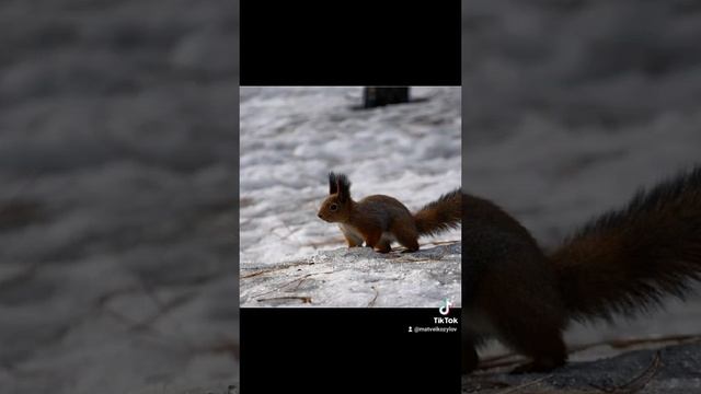 fc1228ab859f06b31d0301938e2a5b9d.mp4 смотреть онлайн