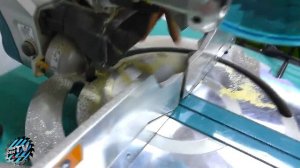 Обзор хозяйственного пылесоса  KARCHER WD 5.