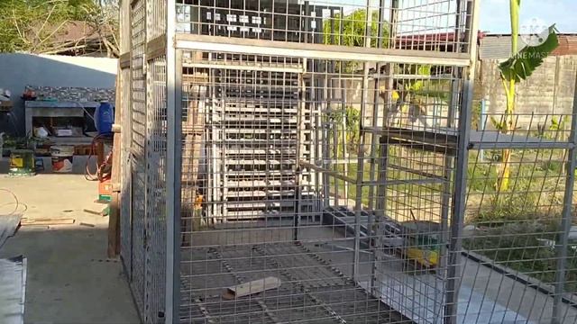 MAILTANK MMA-305 DC INVERTER WELDING MACHINE  For Cat And Dog Cage