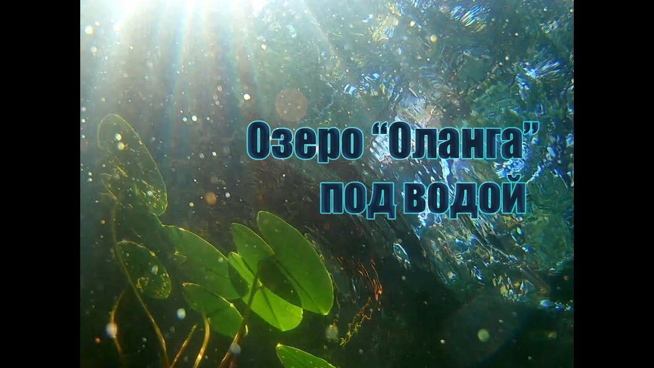 Озеро "Оланга", подводные съёмки смотреть онлайн