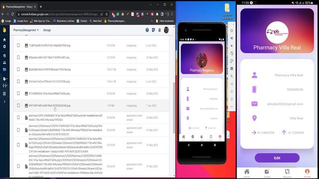 Pharmacy Management Mobile App in React Native with Firebase Integration смотреть онлайн