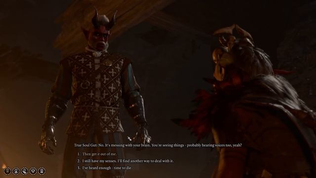 Baldur's Gate 3 but I pick every bad option смотреть онлайн