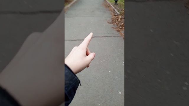 Первая проблема в городе?Что за дерево? смотреть онлайн