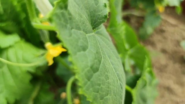 19 июня 2022 г. смотреть онлайн