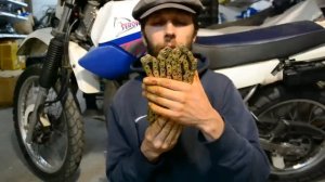 Какую цепь выбрать для малокубатурного мотоцикла? И стоит ли переходить на 520 шаг?