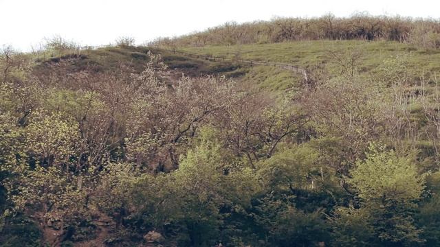 canon 70D footage смотреть онлайн