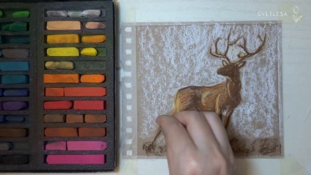 ?Модный олень сухой пастелью на крафт бумаге? Soft Pastels mungyo смотреть онлайн