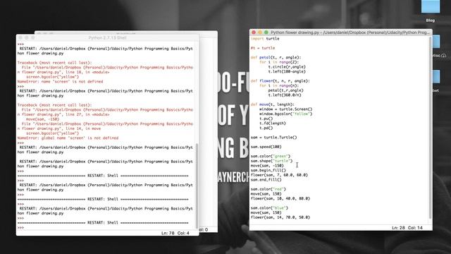 Drawing Flowers in Python смотреть онлайн