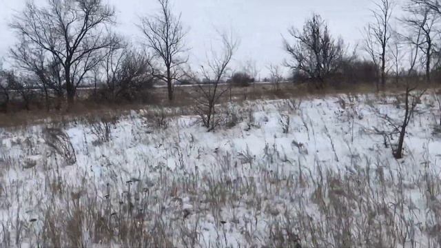 Охота на зайца в СаратовСкой Области Рекордный год или как прошёл сезон Hare hunting смотреть онлайн