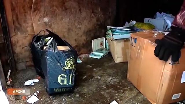 «Сдай макулатуру – Спаси дерево!» смотреть онлайн