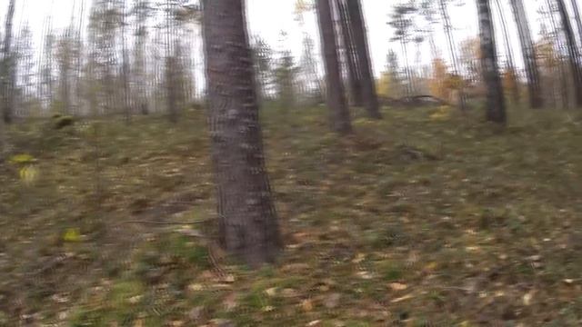 Конец грибного сезона смотреть онлайн