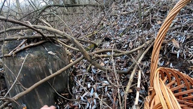 ПРОФИЛАКТИКА И ЛЕКАРСТВО ОД РАКА ОПЯТА ЗИМНИЕ смотреть онлайн