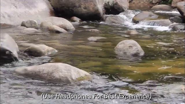 Binaural Music With Zen Sounds For Meditation, Relaxation & Deep Sleep!! By EQUINOX смотреть онлайн