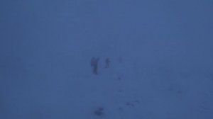 Дети большой  медведицы. 

Фильм снят в тяжёлых условиях зимы и полярного ветра!